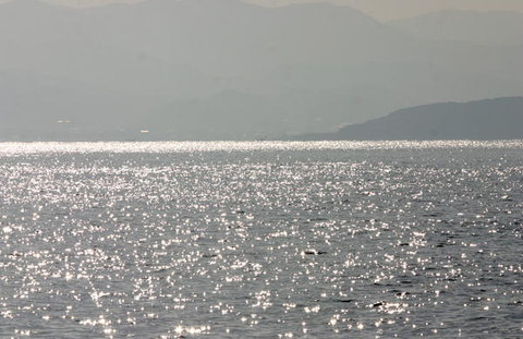 �F�{���@�V���@ama-004