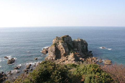 �F�{���@�V���@ama-027