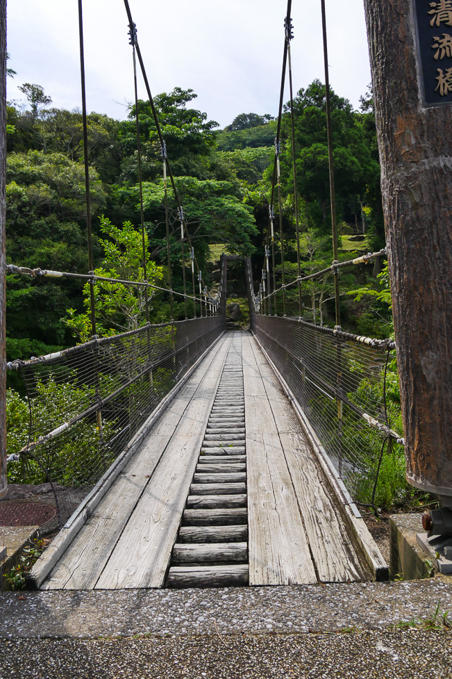 鮎もどし自然公園-30