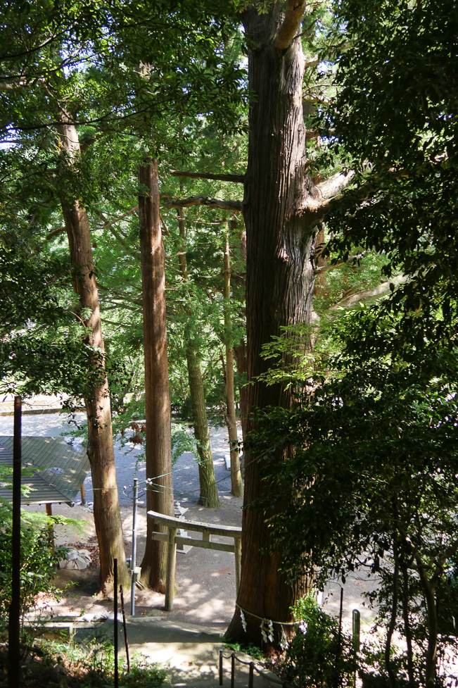 嶋大國魂御子神社-51
