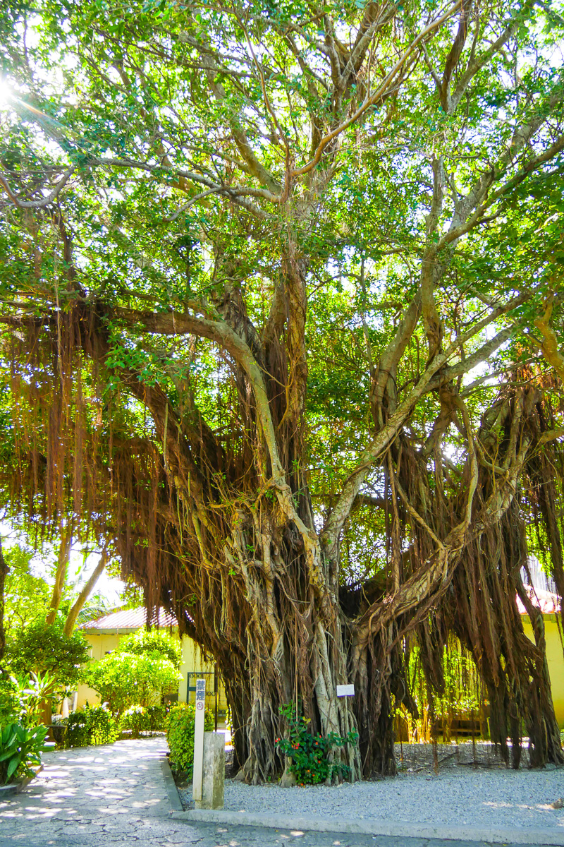 ひめゆりの塔　平和祈念公園