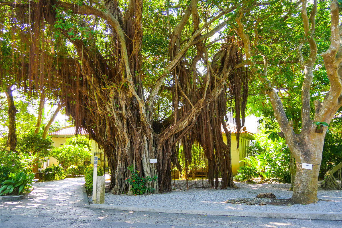 ひめゆりの塔　平和祈念公園