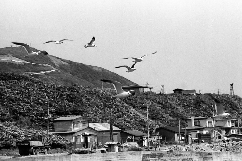 1980年北海道-34