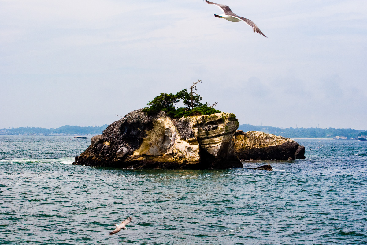 日本三景　松島