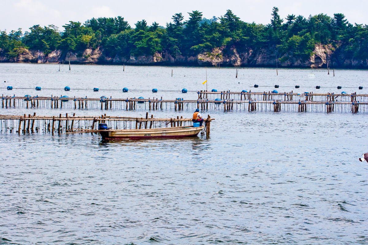 日本三景　松島