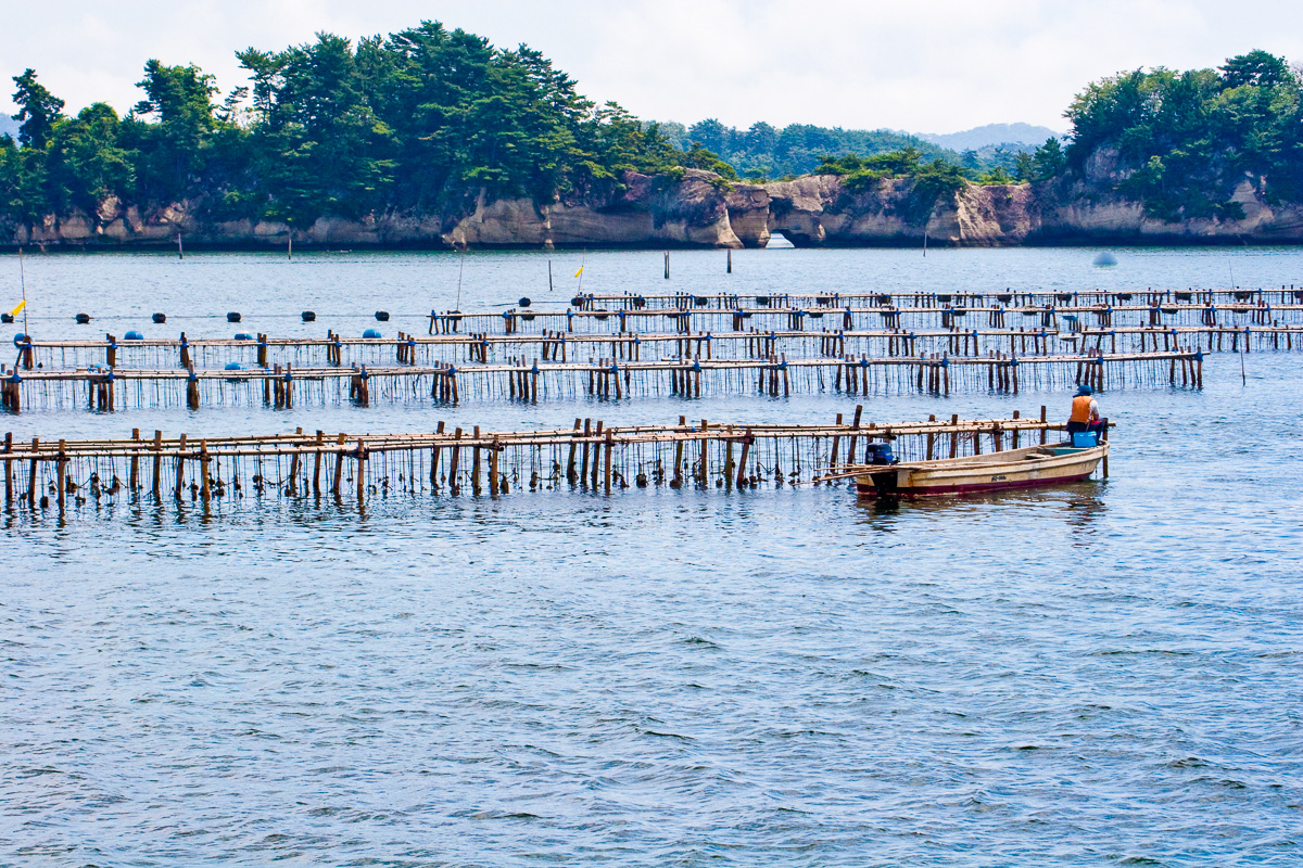 日本三景　松島