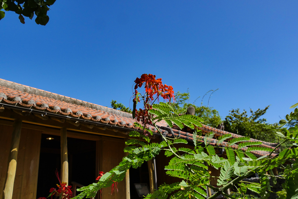 おきなわワールド