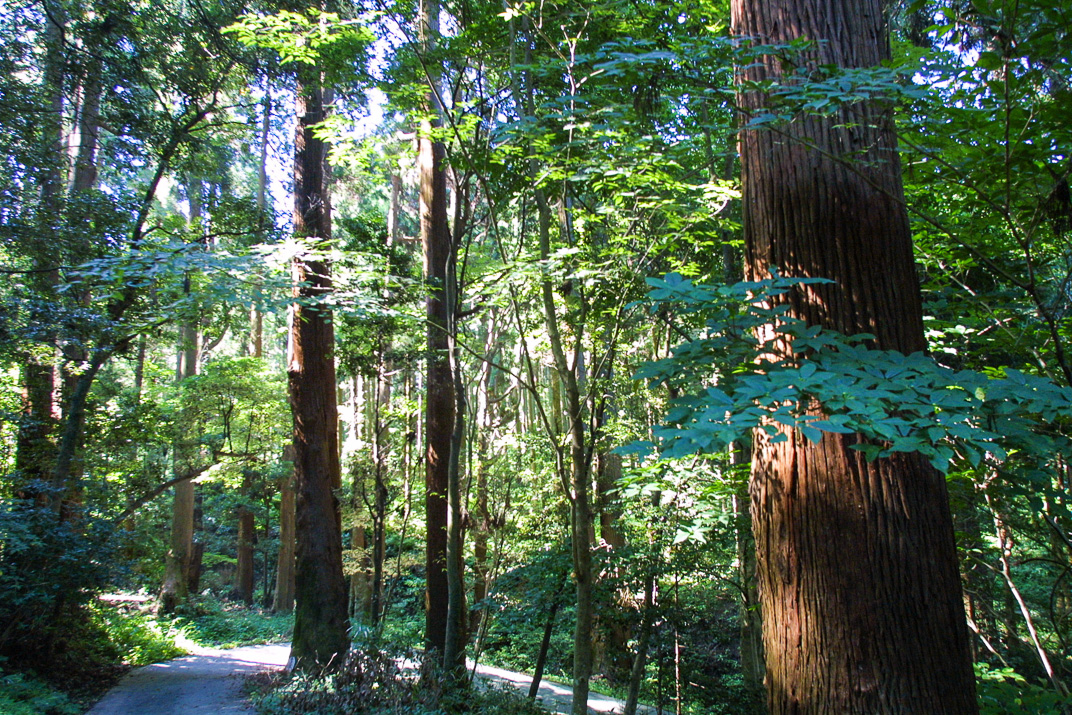 くしふる神社-22