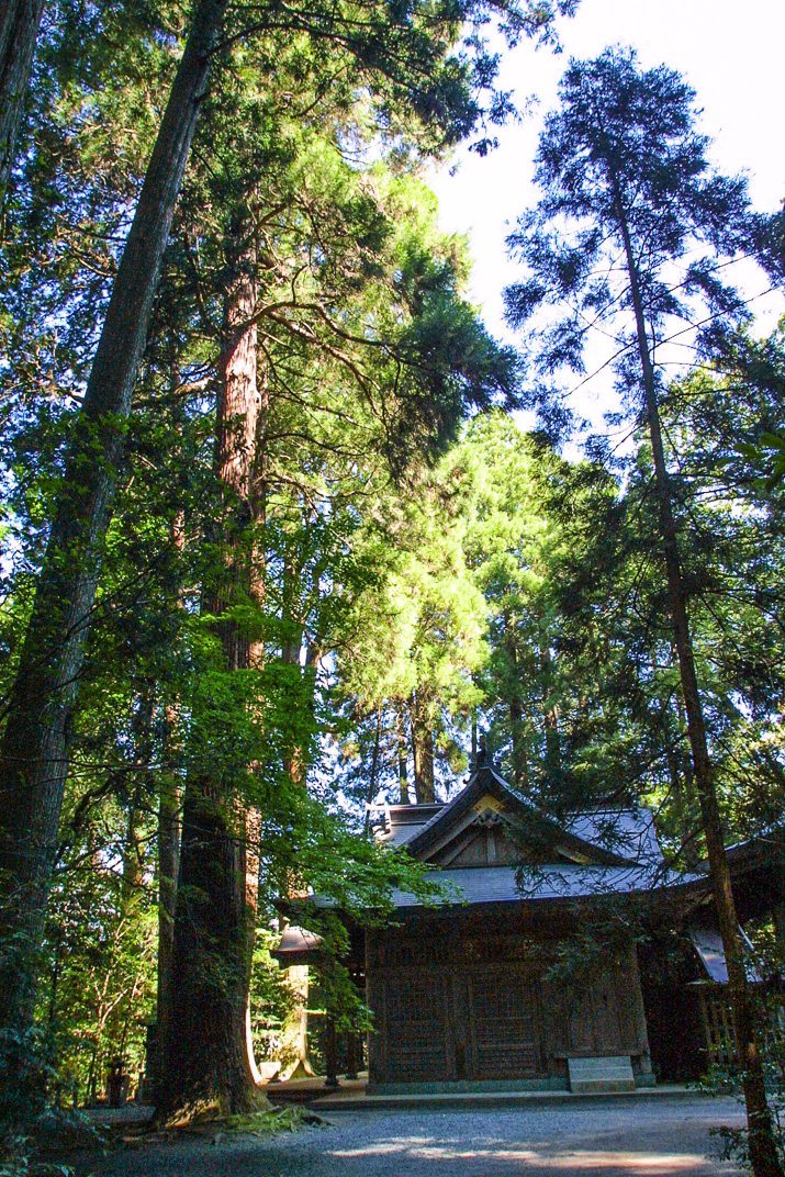 くしふる神社-24