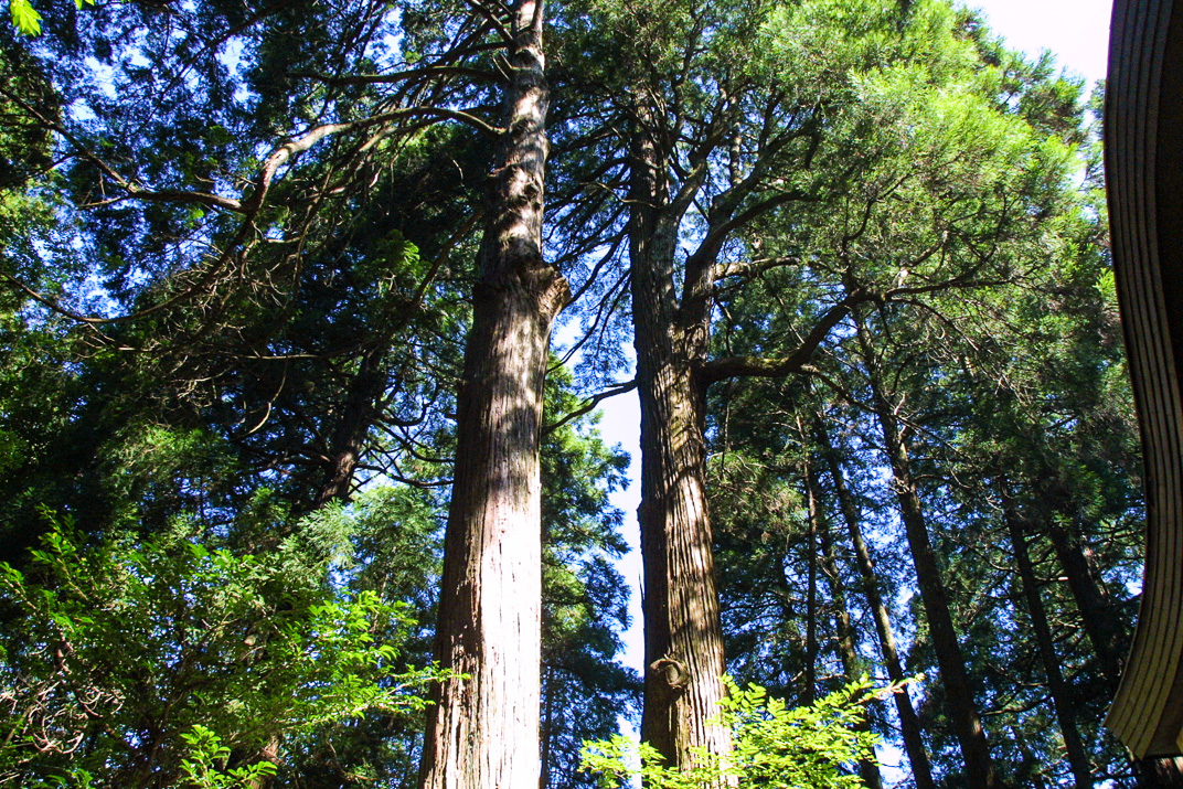 くしふる神社-28