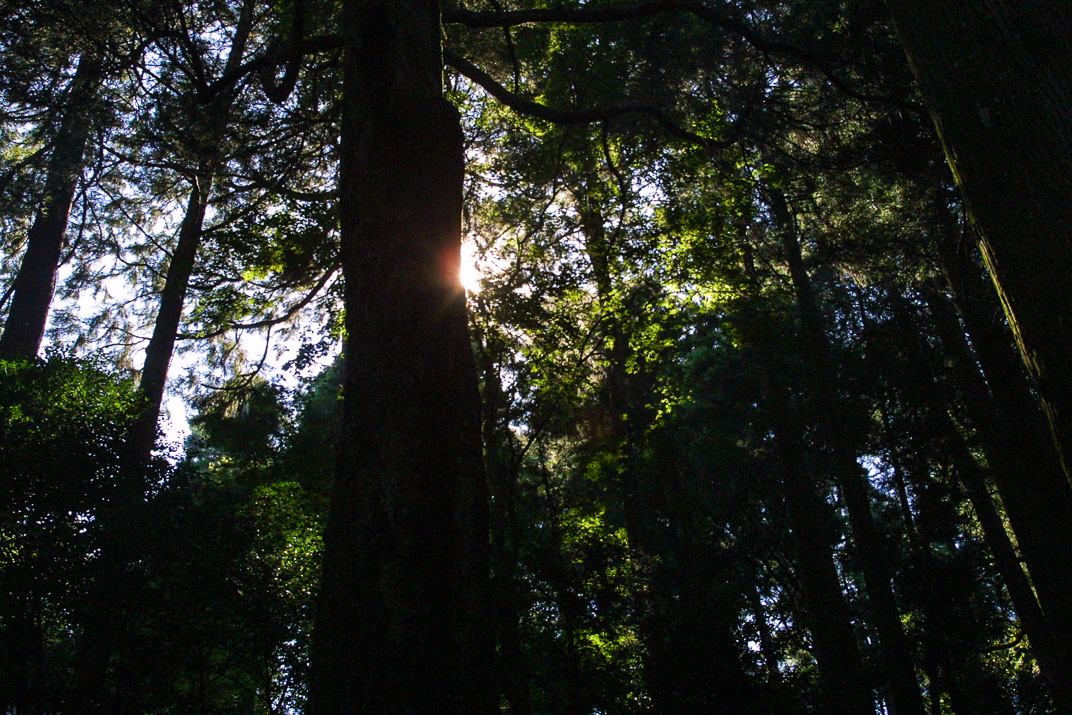 くしふる神社-9