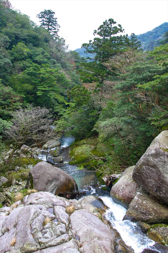 鹿児島県 屋久島