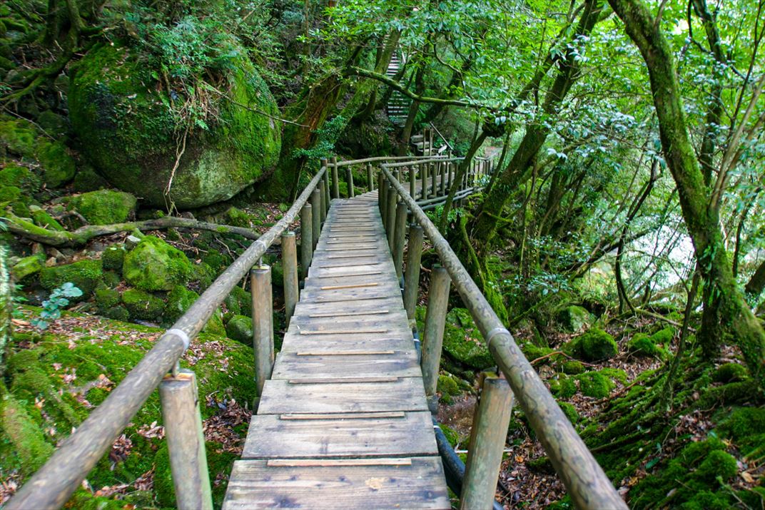 鹿児島県 屋久島