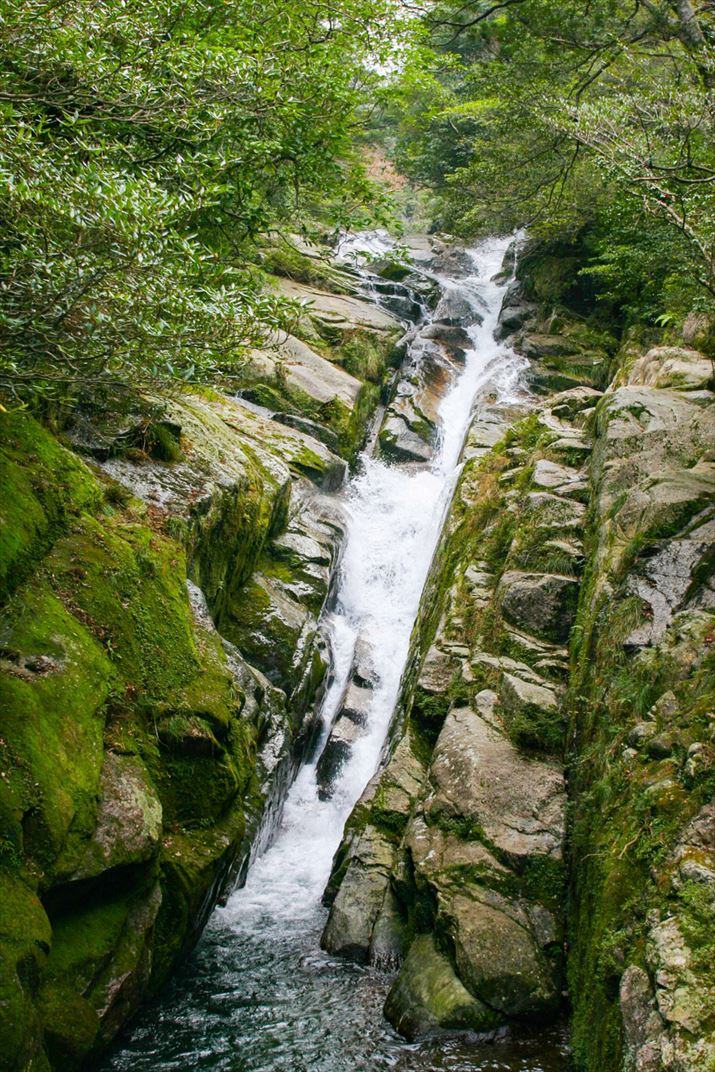 鹿児島県 屋久島