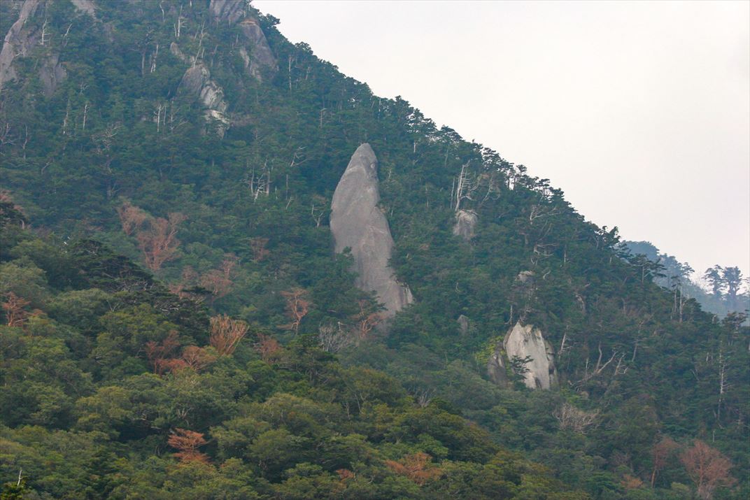 鹿児島県 屋久島