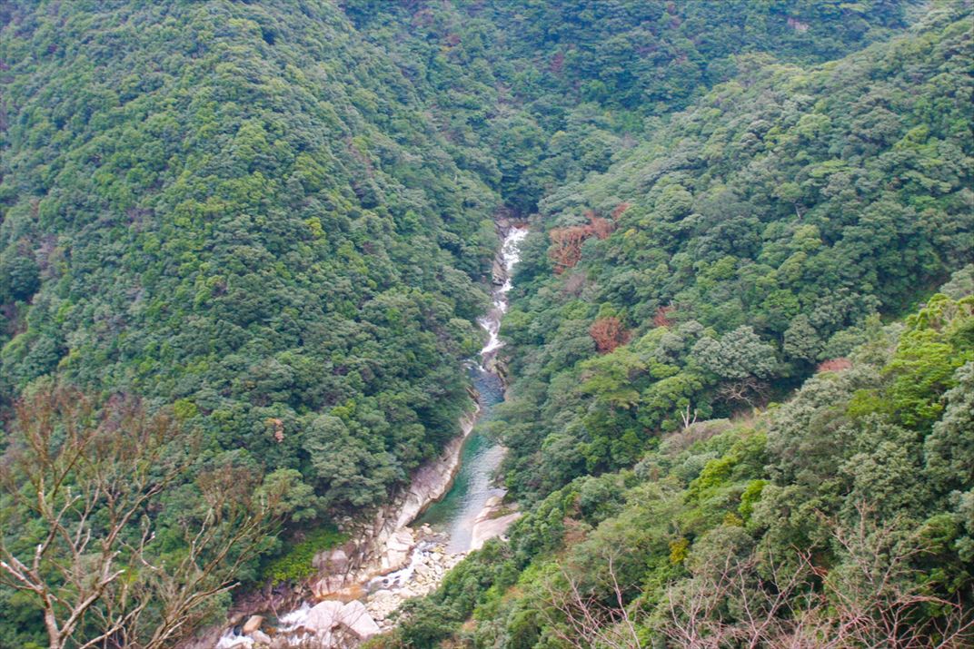 鹿児島県 屋久島