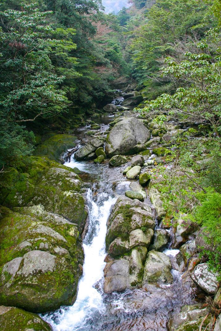 鹿児島県 屋久島
