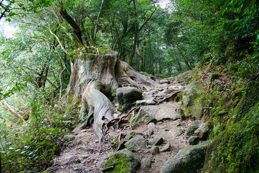鹿児島県 屋久島