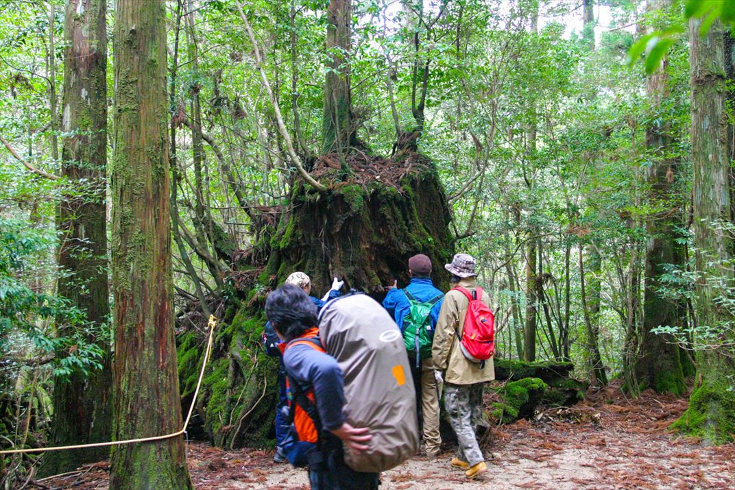 鹿児島県 屋久島