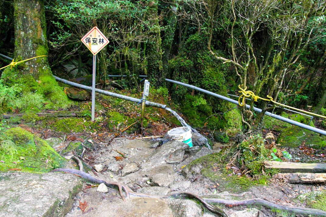 鹿児島県 屋久島