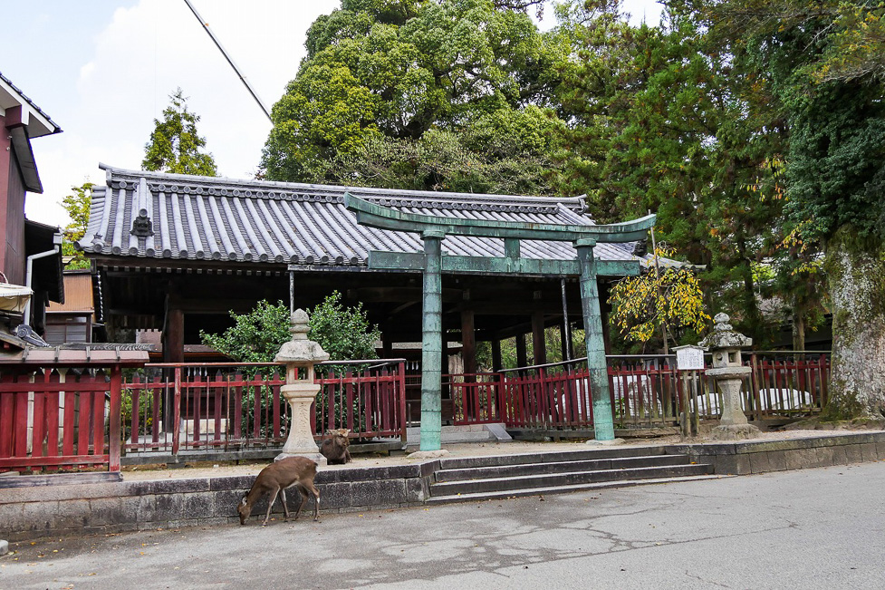 厳島神社145