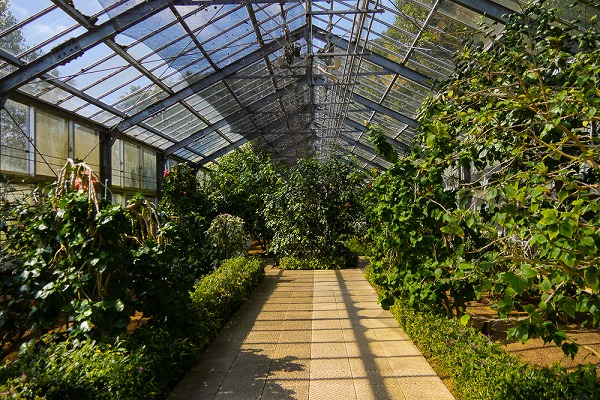 長崎県亜熱帯植物園